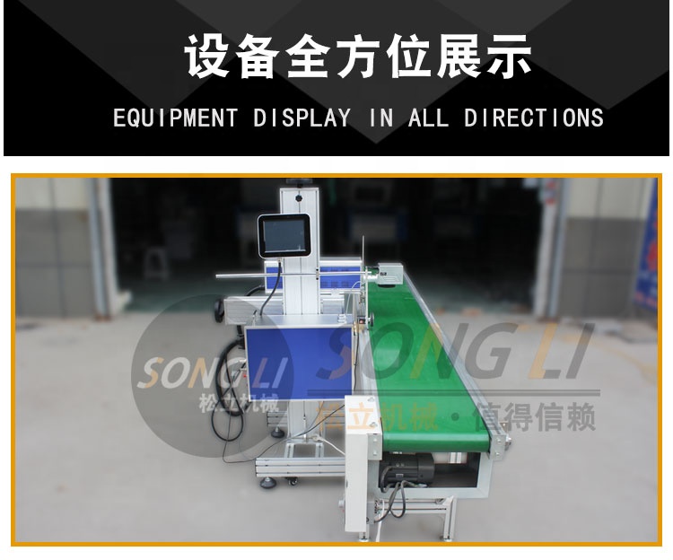 High Speed Flying CO2 Laser Marking Machine for Marking on Plastic Pipe Medicine Box